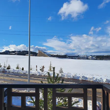 Goga Zlatibor