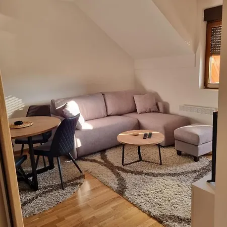 Apartment Goga *