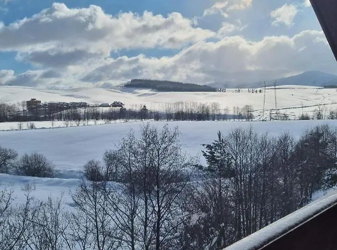 Апартаменты Goga *